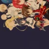 H054b6057c4d24f8eaa57ffa05e1e51dcp - High School DxD Shop