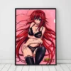 S574814526267462b8241b426a1003ab5C - High School DxD Shop