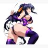 flat750x075f pad750x1000f8f8f8.u2 45 - High School DxD Shop