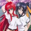flat750x075f pad750x750f8f8f8 44 - High School DxD Shop